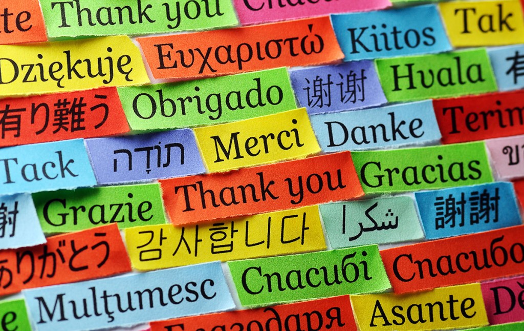 Languages To Study For A Thriving Career In Vietnam